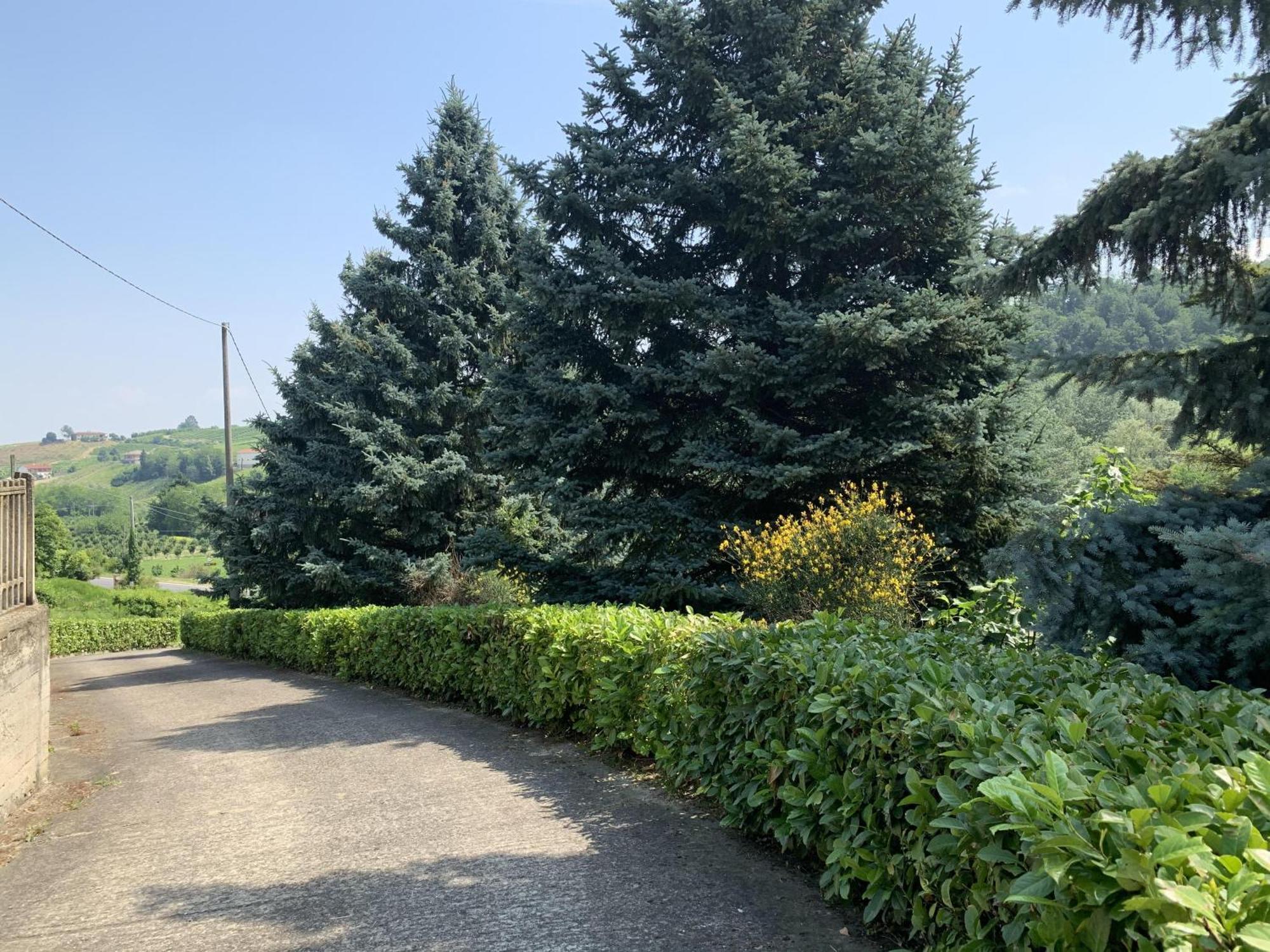 Bricco Nebbiolo Apartment Neviglie Bagian luar foto